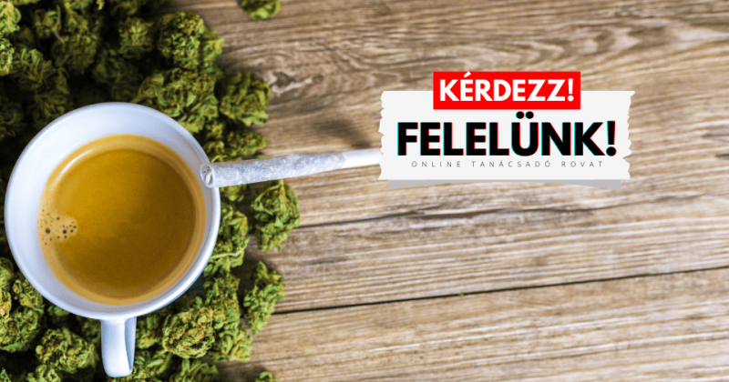 kérdezz felelünk - WakeUp Magazin - 3. rész-2