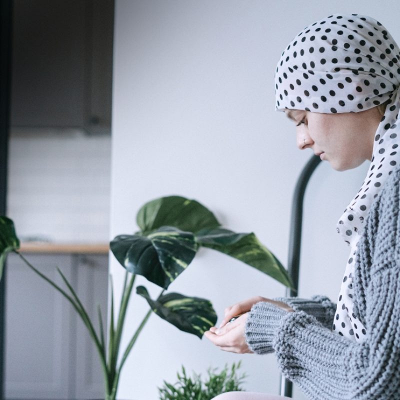 Fotó: Canva @ahmadalfant's Images és Pexels  @ivans