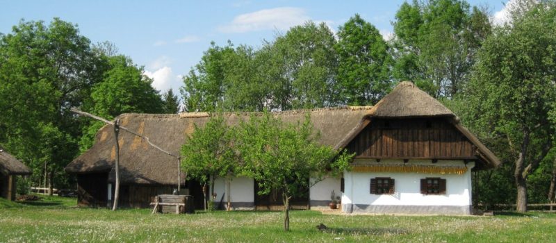 nádtető, ház, parasztház