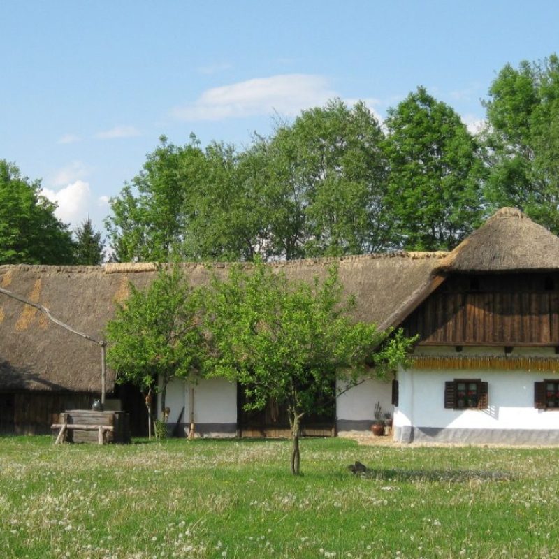 nádtető, ház, parasztház