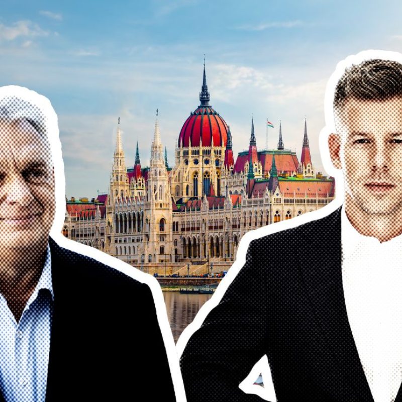 politika, magyar péter, orbán viktor,