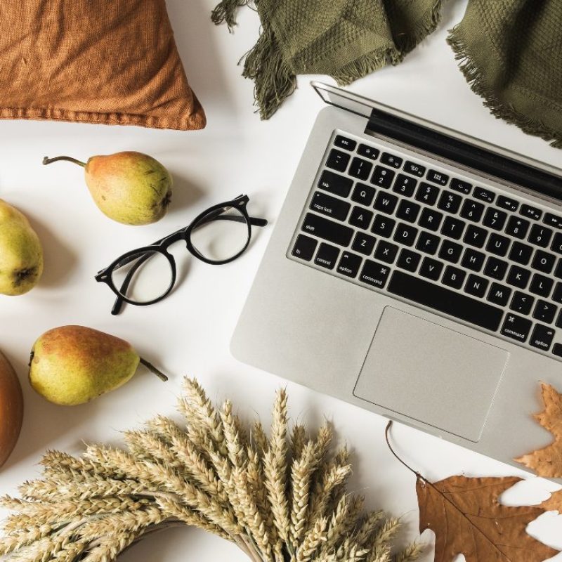 canva, őszi marketing, canvasztikus,