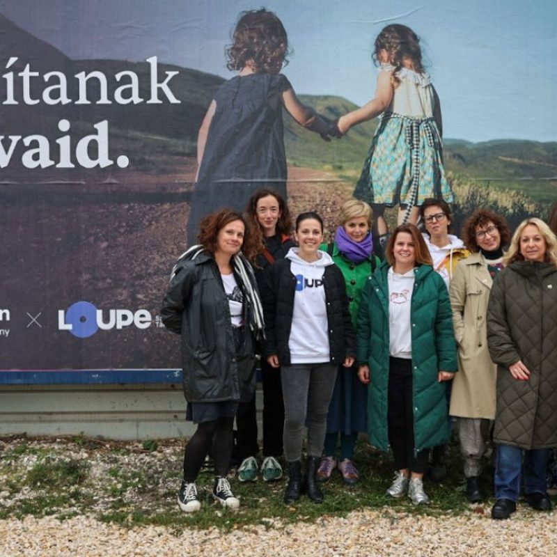 Hintalovon, plakátkampány, politika