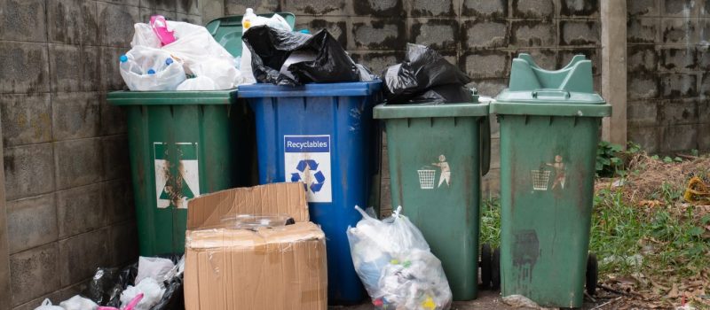 fenntarthatóság a mindennapokban