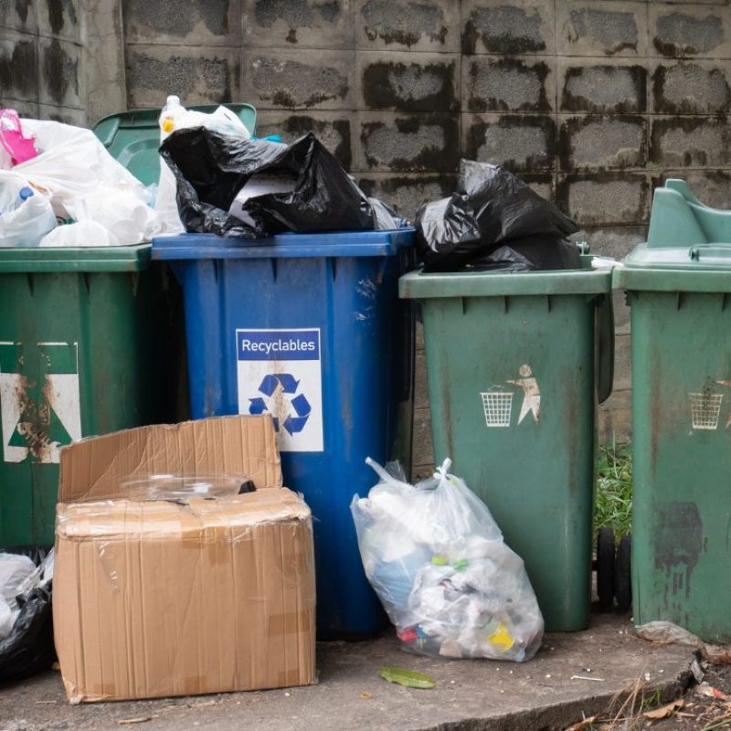 fenntarthatóság a mindennapokban