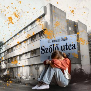 szőlő utca, intézet, javító Forrás Canva @dimaberlinphotos Wikipédia