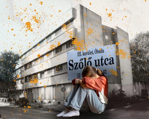 szőlő utca, intézet, javító Forrás Canva @dimaberlinphotos Wikipédia