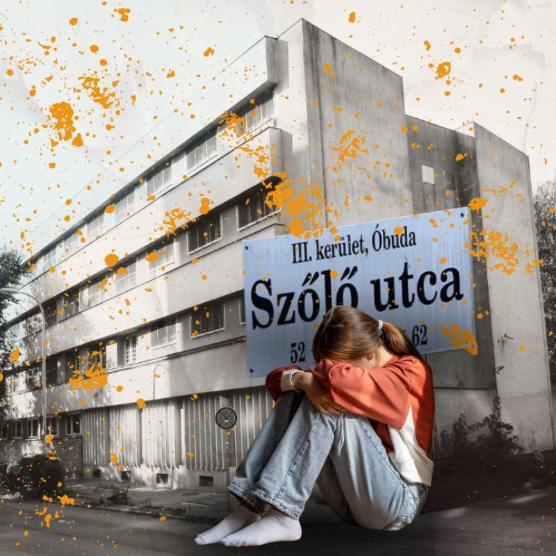 szőlő utca, intézet, javító Forrás Canva @dimaberlinphotos Wikipédia