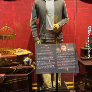 Harry Potter