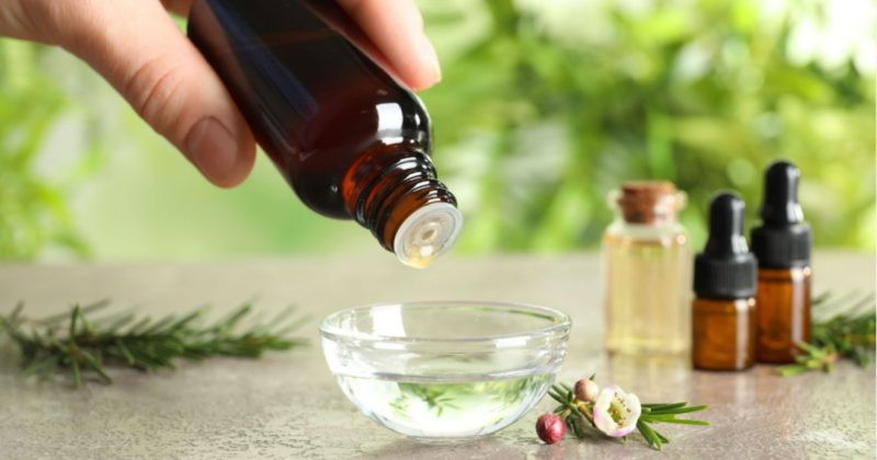 teafaolaj - utaznál is jól jön