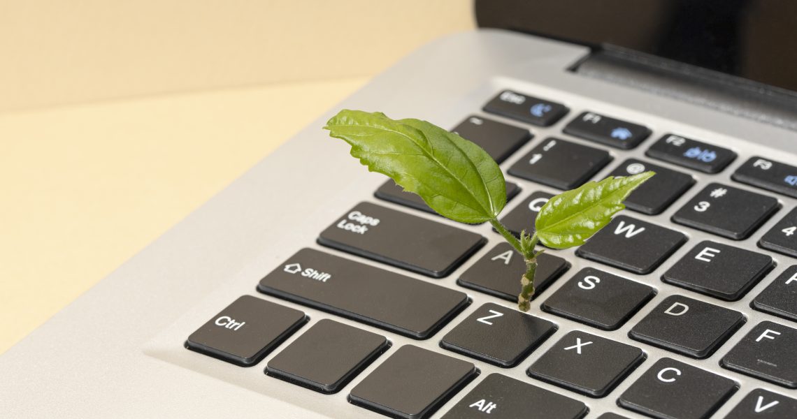 Környezetbarát vállalkozás