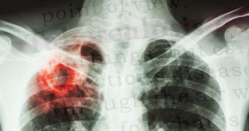 Fotó: Canva - Getty Images @stockdevil