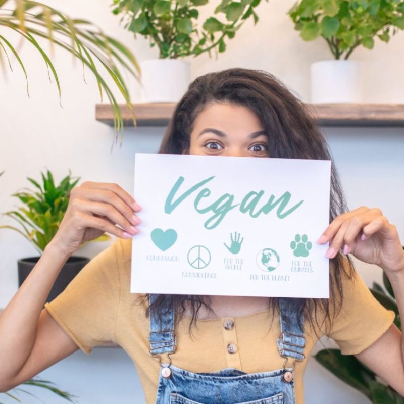 Kép forrása: Canva by stagestock